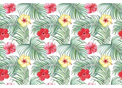 Produktbild von Möbelaufkleber „Tropical Pacorita“, 60 x 90 cm