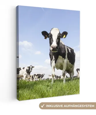 Obrázok produktu pre MuchoWow® - Plátno - Kravy - Tráva - Zvieratá - Slnko - Farma, nástenná maľba, nástenné dekorácie obrazy obývacia izba, 90x120cm
