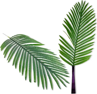 Productafbeelding van Deko-dadelpalmblad, 84 cm – Natuurgetrouw en flexibel