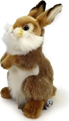 Produktbild von Hase PREMIUM Kaninchen Feldhase Plüschtier Dekotier ABBY