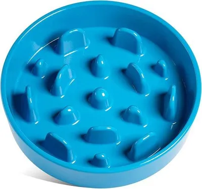 Imagen del producto de Comedero para perros pequeños, 1200 ml, de cerámica, color azul, antideslizante