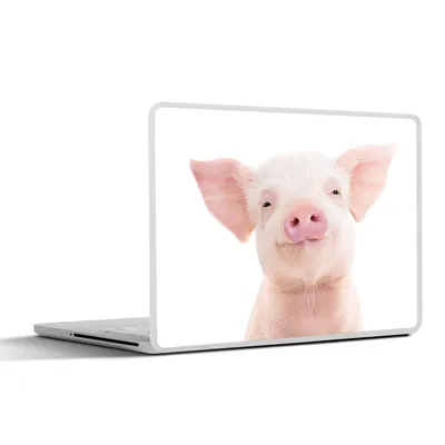 Produktbild von MuchoWow® Laptop Aufkleber Sticker Cover Schwein - Rosa - Tiere - Natur 36.5x27.5 cm - Laptop-Sticker