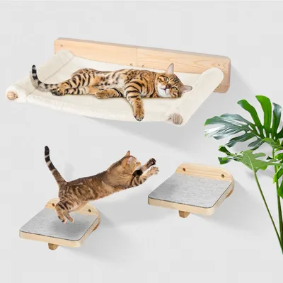 Two cats interacting with wall-mounted cat furniture.