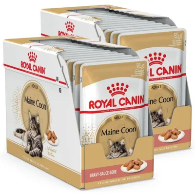 Produktbild von Royal Canin FBN Maine Coon Adult 24x85g Nassfutter in Soße für ausgewachsene Maine Coon Katzen