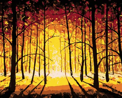 Produktbild von Zuty - Malen nach Zahlen - SONNENUNTERGANG IM HERBSTWALD, 40x50 cm, mit Keilrahmen (bereits gespannt)