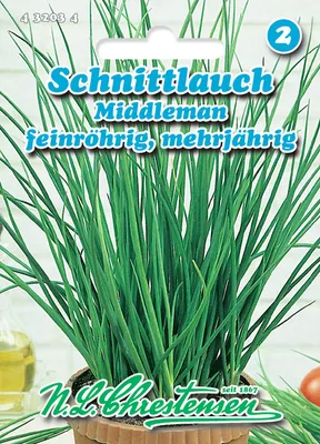Produktbild von Schnittlauch Middleman | Schnittlauchsamen von N.L. Chrestensen