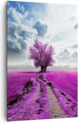 Produktbild von Bild auf Leinwand - Leinwandbild - Einteilig - Heidefeld Baum Wolken Landschaft - 80x120cm - Wand Bild - Wandbilder - Leinwanddruck - Wanddekoration - Leinwand bilder - Wandbild - PA80x120-2547