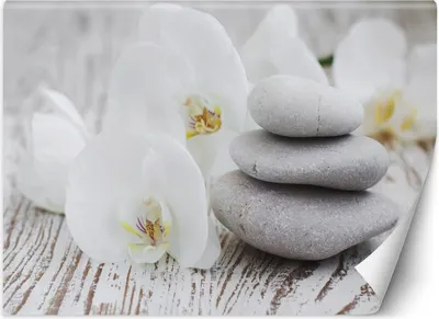 Produktbild von Vlies fototapete Blumen Zen-Steine 300x210 cm Feeby Beige inkl. Kleber einfache Montage