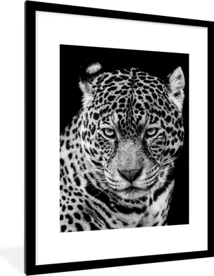 Produktbild von MuchoWow® Gerahmtes Poster Leopard - Tiere - Schwarz - Weiß - Porträt 60x80 cm - Poster mit Schwarzem Bilderrahmen Wandposter Rahmen Foto Bilder - Wohnzimmer - Dekorationen - Prämie