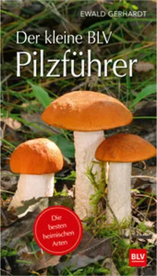 Produktbild von Der kleine BLV Pilzführer