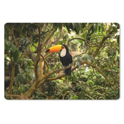Produktbild von MuchoWow® Schreibtischunterlage Vogel - Tukan - Dschungel - Natur - Tropisch 60x40 cm - XXL Mauspad - Großes Mauspad