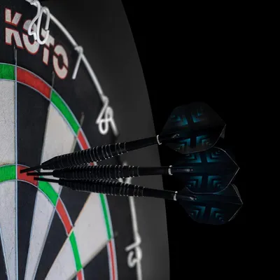 Produktbild von Dartboard-Set mit Surround und Zubehör für Anfänger