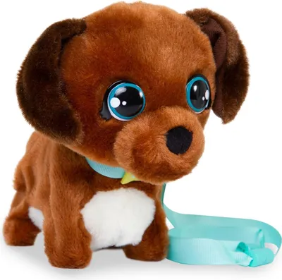 Immagine prodotto di Club Petz Mni Walkiez Chocolab