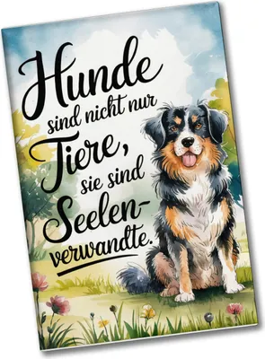 Produktbild von Hunde sind Seelenverwandte Souvenir Souvenir Magnet
