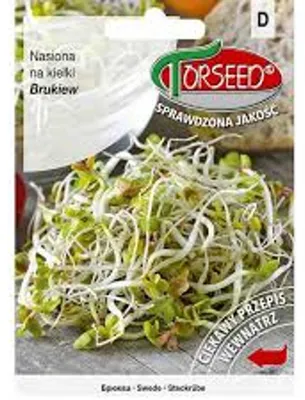 Zdjęcie produktu dla Brukiew, nasiona na kiełki 10g - Torseed