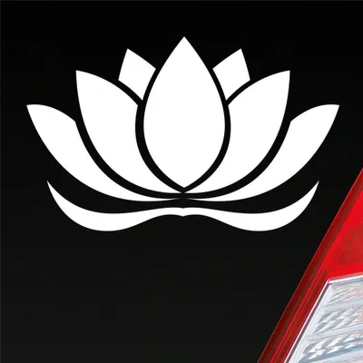 Produktbild von Auto Aufkleber Lotusblüte Lotus Blüte Blume Pflanze Seerose 16x10 cm Weiss Glanz Sticker Heckscheibenaufkleber