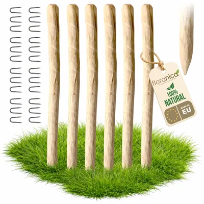 Produktbild von Floranica 6 x Zaunpfosten aus Haselnuss Höhe 150 cm Holzpfosten für Staketenzaun Kastanienzaun Holzpfähle Baumstütze Baumpfahl Stützpfosten