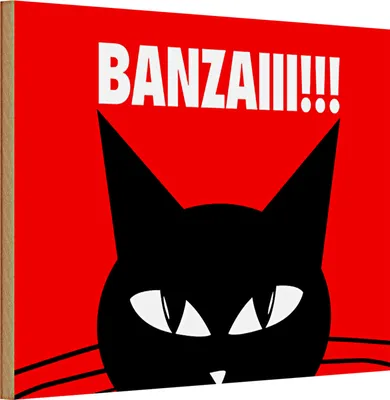 Produktbild von Holzschild Spruch 30x20cm Katze Banzaiii!!!