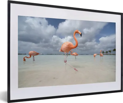 Produktbild von MuchoWow® MuchoWow® Gerahmtes Poster Flamingos auf einer Insel in Aruba 60x40 cm - Poster mit zchwarzem Bilderrahmen - Schlafzimmer - Plakat in Rahmen - Drucken