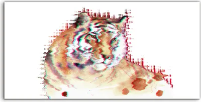 Produktbild von Coloray Acrylbild 100x50  Wandbild Acrylbilder Foto Wand Tier Katze Aquarell Tiger