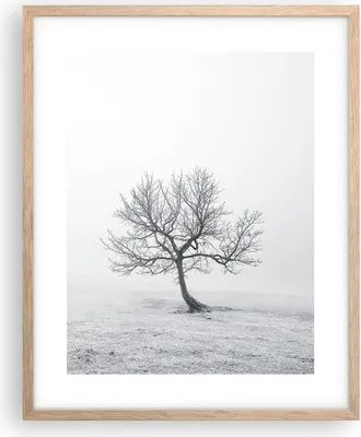 Produktbild von Gerahmtes Poster - Rahmen in heller Eiche - Baum Feld Natur - 40x50 cm - Wand Bild - Wanddeko - Wandbilder - Kunstposter - Wandposter - Bilderrahmen - Bilder - Kunstdruck - Wandbild - P2NPA40x50-3683