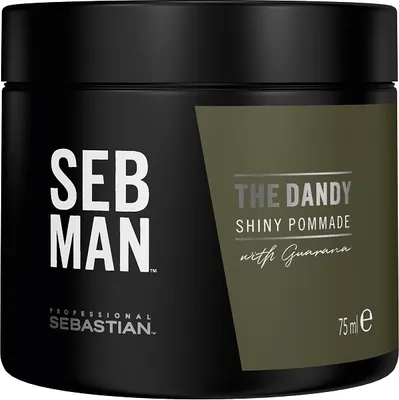 Obrázok produktu pre SEB MAN The Dandy - Pomáda s ľahkou fixáciou a lesklým povrchom 75ml