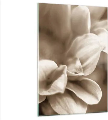 Produktbild von Bilder auf glas - Einteilig - Blumen Boho ohne - 80x120cm - Glasbilder - Wandbilder - Bilder - zum Aufhängen bereit - Wanddekoration aus Glas - Glas Bilder - Wandbild auf Glas - GPA80x120-4767