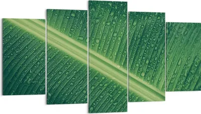 Produktbild von Bild auf Leinwand - Leinwandbild - 5 Teile - Makro Blatt Tropfen - 160x85cm - Wand Bild - Wanddeko - Wandbilder - Leinwanddruck - Bilder - Wanddekoration - Leinwand bilder - Wandbild - EA160x85-4372