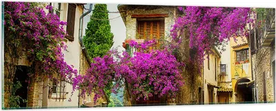 Produktbild von Bilder auf glas - Straße Sommer Blumen - 90x30cm - Glasbilder - Wandbilder - Kunstdruck - zum Aufhängen bereit - Wanddekoration aus Glas - Glas Bilder - Wandbild auf Glas - Einteilig - GAB90x30-3589