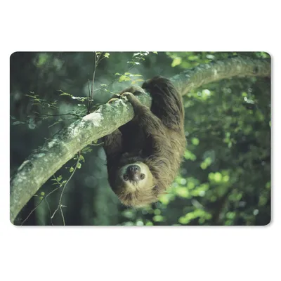 Produktbild von MuchoWow® Schreibtischunterlage Ein Faultier hängt kopfüber in einer grünen Umgebung 60x40 cm - XXL Mauspad - Großes Mauspad