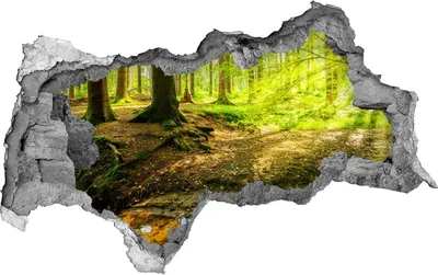 Produktbild von Selbstklebender Loch-3D-Aufkleber 95x73 cm Sonnenstrahlen Wald