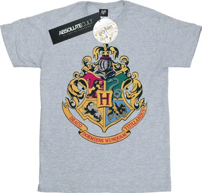 Produktbild von Harry Potter - "Hogwarts" T-Shirt für Herren BI30118 (L) (Grau)