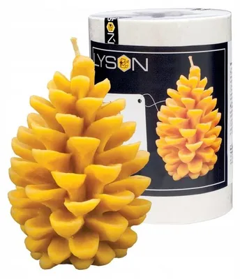 Produktbild von Łysoń Premium Silikonform Tannenzapfen Gießform