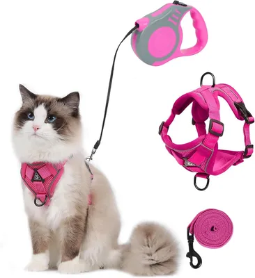 Produktbild von Katzengeschirr mit Leine, Ausbruchsicher, Verstellbar für Kätzchen und Hunde, Rosa, S