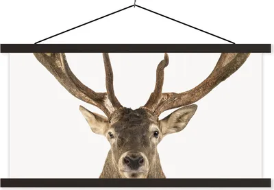 Produktbild von MuchoWow® Textilposter Hirsche - Tiere - Geweihe - Kinder - Jungen 90x45 cm mit schwarzem Rahmen - Klemmleisten