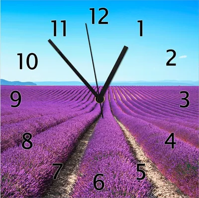 Produktbild von Wallario Design Wanduhr Lavendelfeld unter blauem Himmel aus Echtglas, Größe 30 x 30 cm