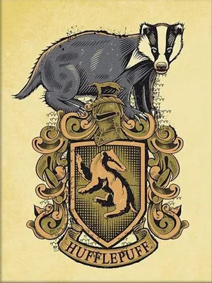 Obrázek produktu pro Harry Potter – erb Nebelvíru – umělecký tisk – 30 x 40 cm – plakát