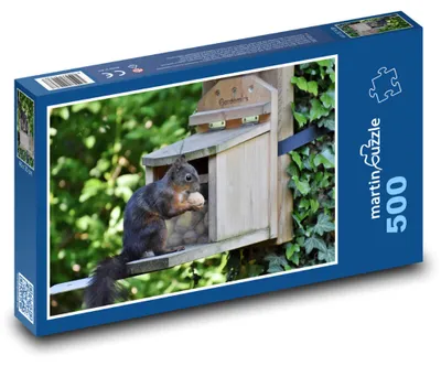 Obrázek produktu pro martinpuzzle - Puzzle 500 - Veverka - zvíře, les