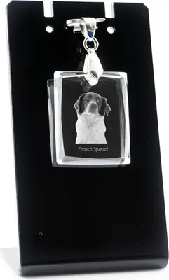 Immagine prodotto di Franco-spagnolo - Ciondolo in cristallo con cane, collana con foto, gioielli unici di Art-Dog