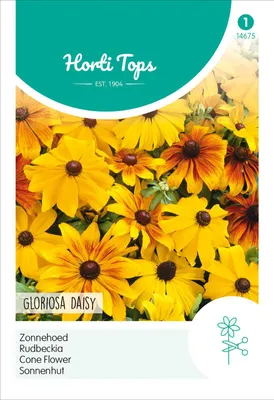 Obrázok produktu pre Trsnatec Gloriosa Daisy | Semená Trsnatca od Hortitops
