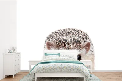 Produktbild von MuchoWow® Fototapete für Wohnzimmer oder Schlafzimmer Wandtapete Vinyl Motivtapete Igel - Tiere - Natur - Weiß - 600x400 cm - Vinyltapeten