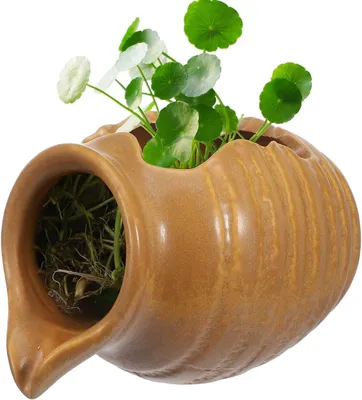 Imagen del producto de Maceta de cerámica en miniatura, fuente sin bomba, plato decorativo para agua, ideal para interiores y jardines