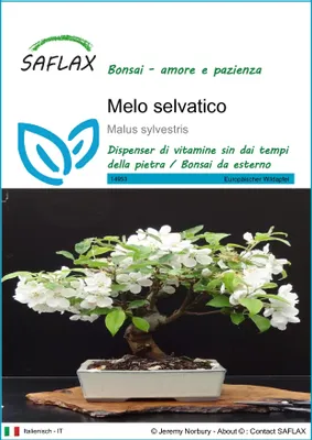 Immagine prodotto di SAFLAX  - Melo selvatico - 30 semi - Malus