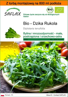 Zdjęcie produktu dla SAFLAX - Garden in the bag - Bio - Dzika Rukola - 1500 Nasiona - Z podłożem uprawowym w praktycznej, samorozkładającej się torbie - Diplotaxis tenuifolia