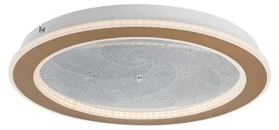 Zdjęcie produktu dla Lampa sufitowa LED 24W EFRAEL 71281 Rabalux