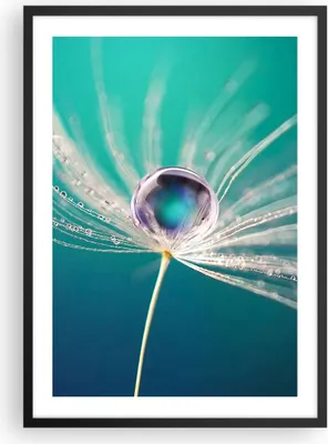Produktbild von Gerahmtes Poster - Schwarzer Rahmen - Pflanze Natur - 50x70 cm - Wand Bild - Wanddeko - Wandbilder - Kunstposter - Wandposter - Bilderrahmen - Bilder - Kunstdruck - Wandbild - P2BPA50x70-3991