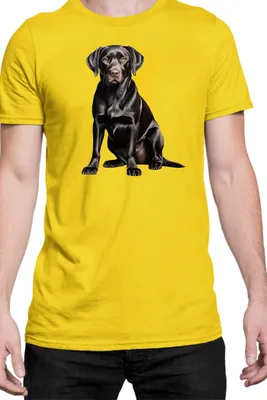 Produktbild von Herren T-Shirt Dogs Breeds Labrador Retriever Dog Breed 006, Man 3XL / Gelb