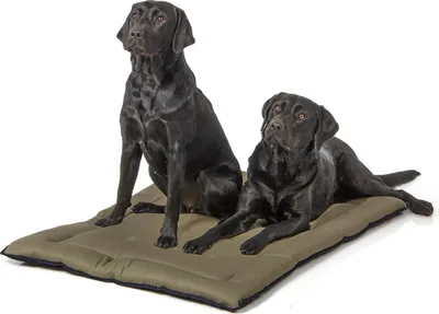 Produktbild von gepolsterte Wendedecke 110 x 80 cm, dunkelblau/oliv bei 95°C waschbar für Hunde