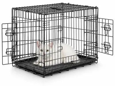Productafbeelding van Lionto transportkooi voor katten, van metaal, stabiel en inklapbaar, met scheidingswand en kunststof bodem. Afmetingen: 76x49x56 cm
