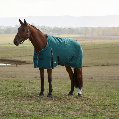 Immagine prodotto di Coperta da paddock Weatherbeeta, taglia 150 - Comfitec Classic, 220 grammi